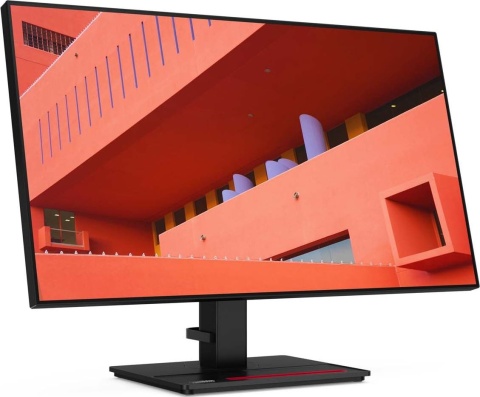 Lenovo ThinkVision P27h-20 27 Cali 2K