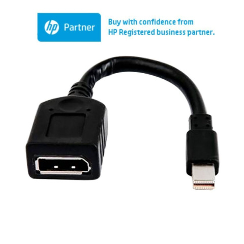 Adapter Mini DisplayPort-DisplayPort Adapter Mini DisplayPort-DisplayPort