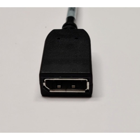 Adapter Mini DisplayPort-DisplayPort Adapter Mini DisplayPort-DisplayPort